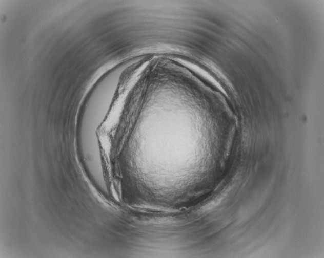 X0000065260845200603131200