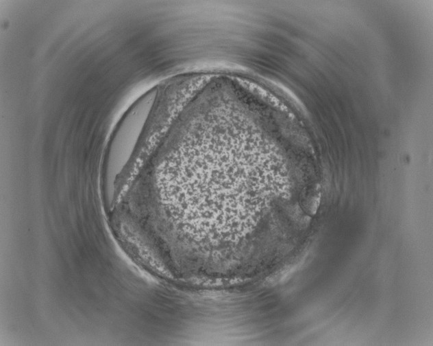 X0000065260847200603131200