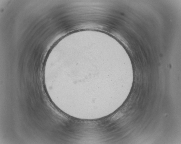 X0000065260848200603131200