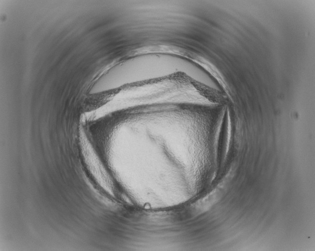 X0000065260849200603131200