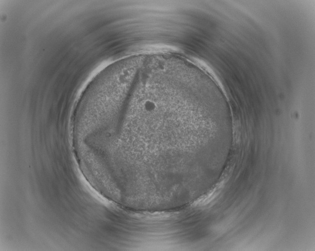 X0000065260851200603131200