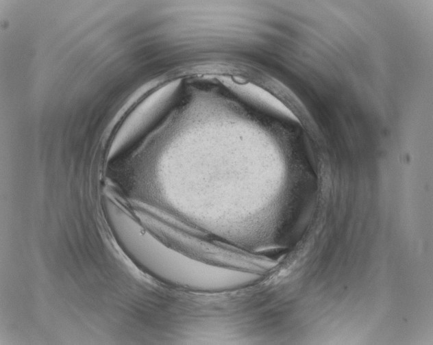 X0000065260852200603131200