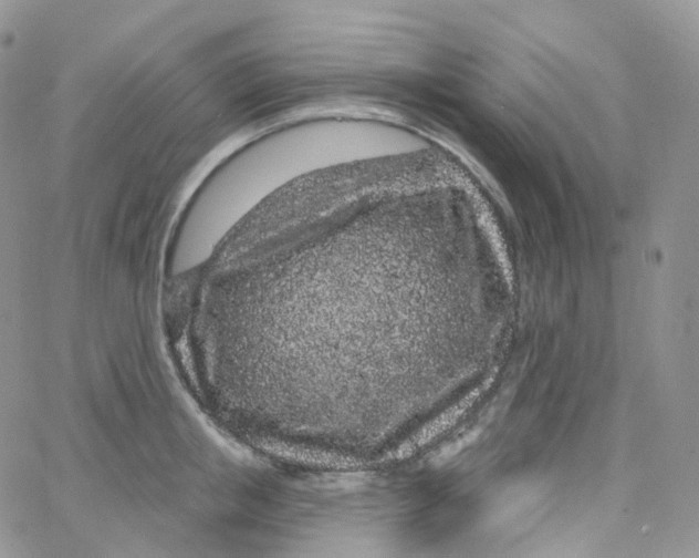 X0000065260853200603131200