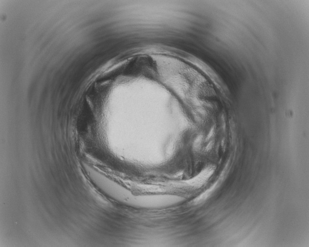 X0000065260857200603131201