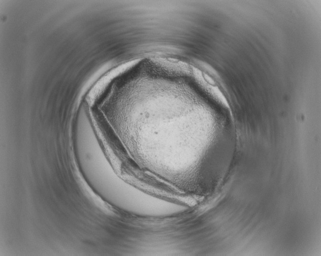 X0000065260859200603131201