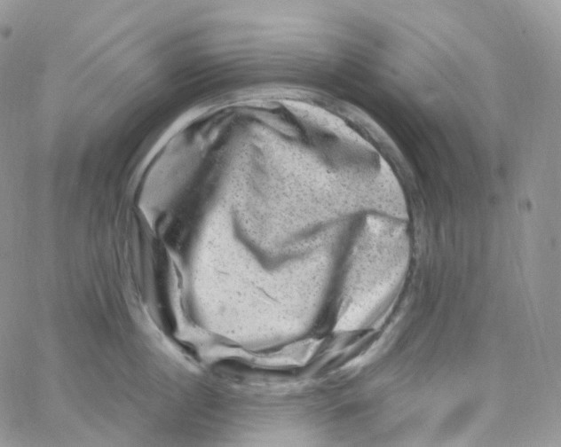 X0000065260860200603131201