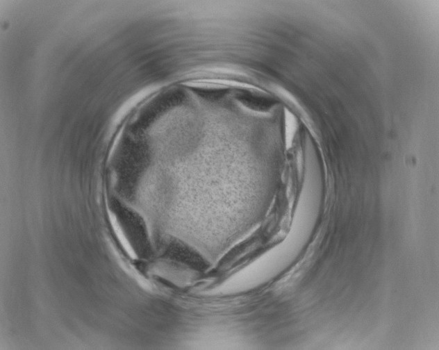 X0000065260862200603131201