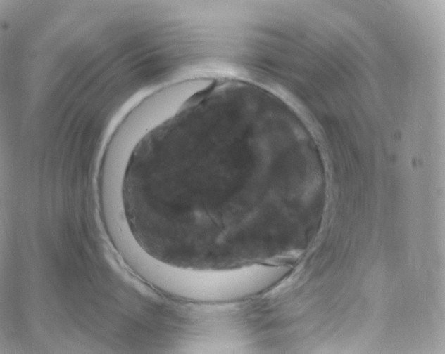 X0000065260864200603131201