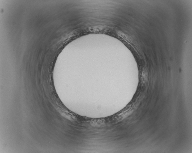 X0000065260865200603131200