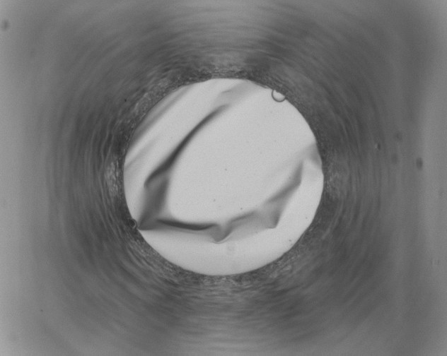 X0000065260866200603131200