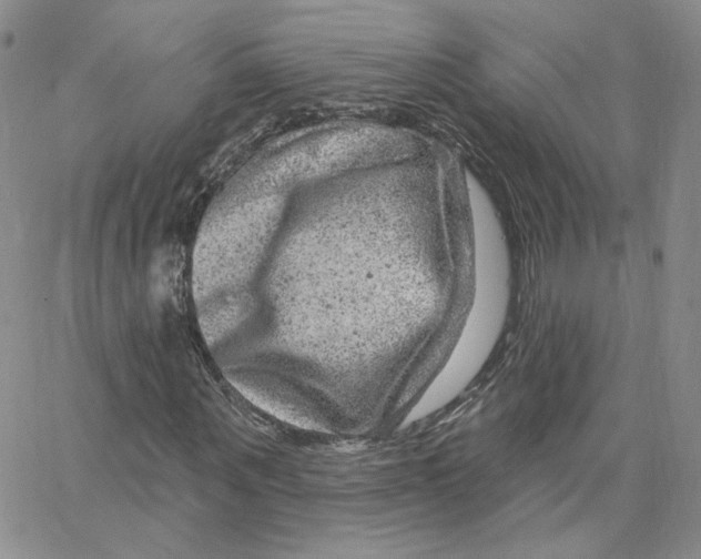 X0000065260867200603131200