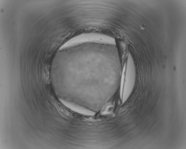 X0000065260868200603131200