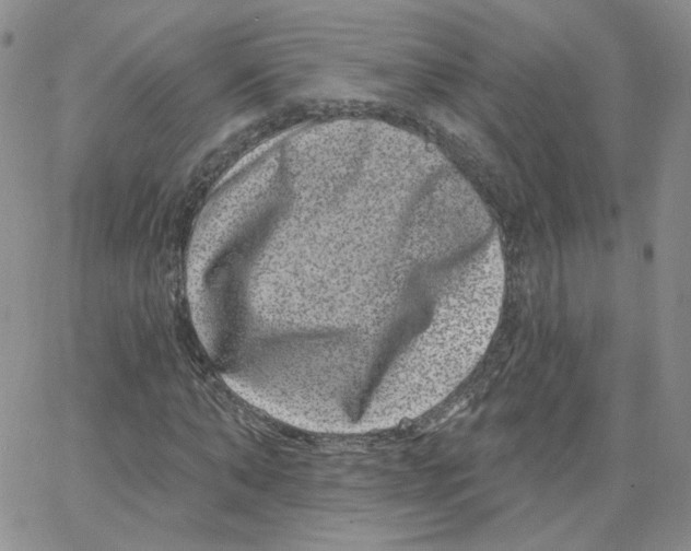 X0000065260870200603131200