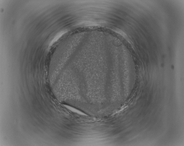 X0000065260871200603131200