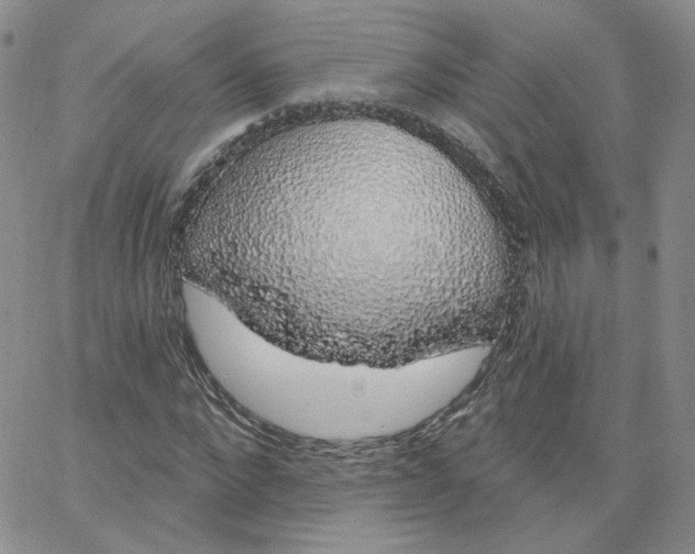 X0000065260872200603131200