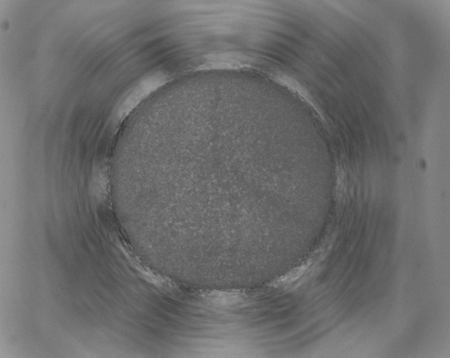 X0000065260874200603131200