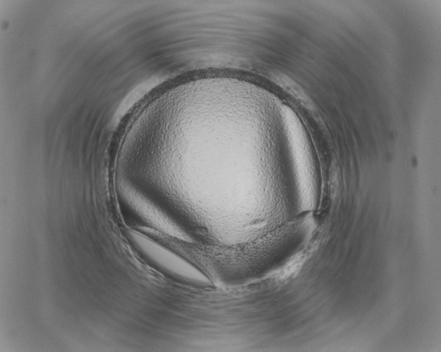 X0000065260877200603131200