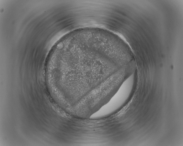 X0000065260879200603131200