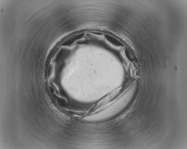 X0000065260880200603131200