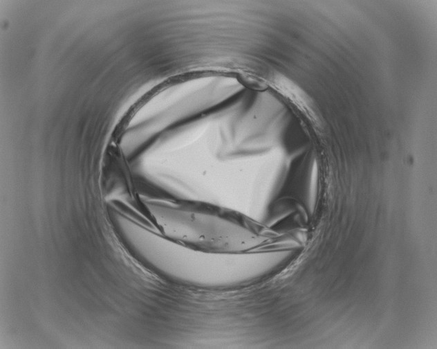 X0000065260884200603131200