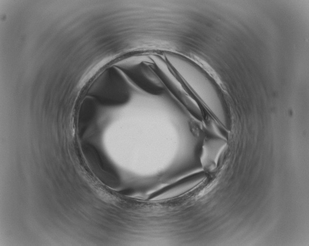 X0000065260885200603131200