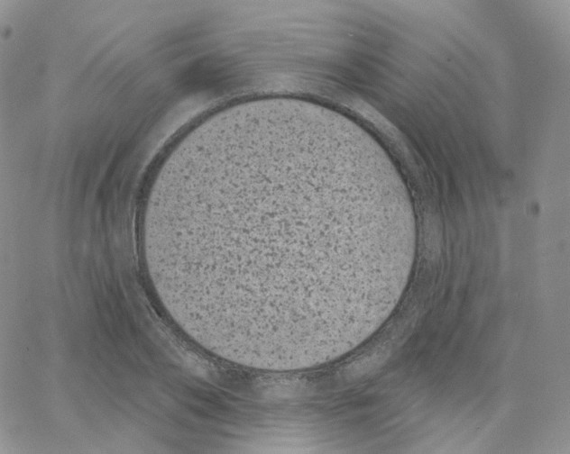 X0000065260886200603131200