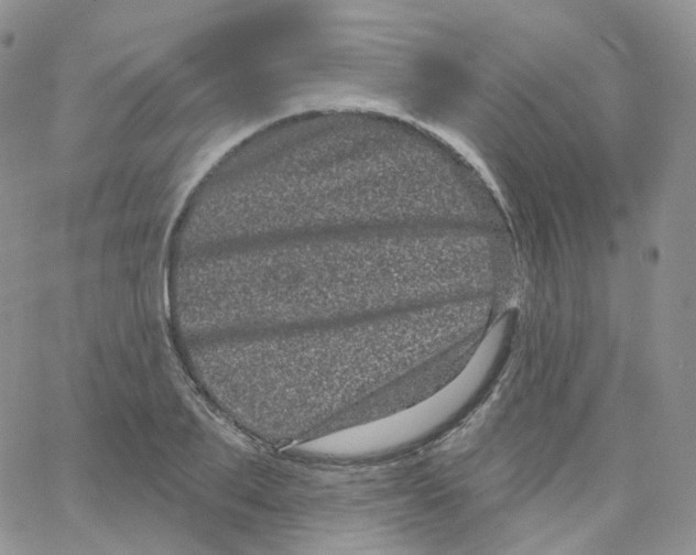 X0000065260887200603131200