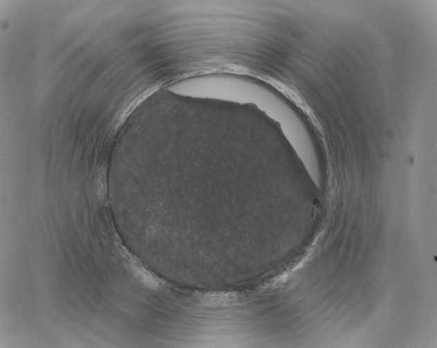 X0000065260889200603131159