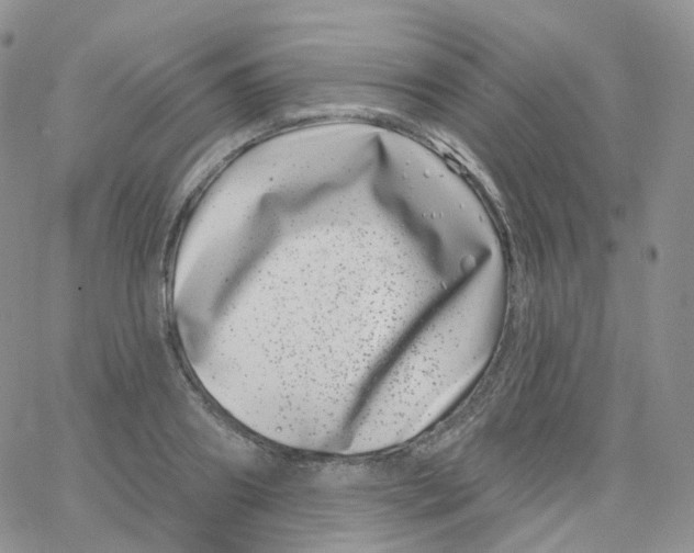 X0000065260890200603131159