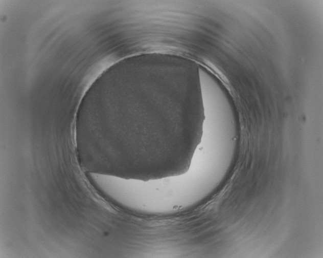 X0000065260891200603131159