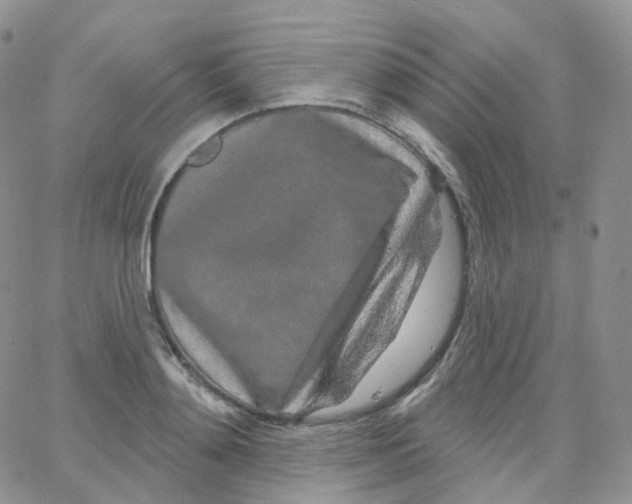 X0000065260892200603131159