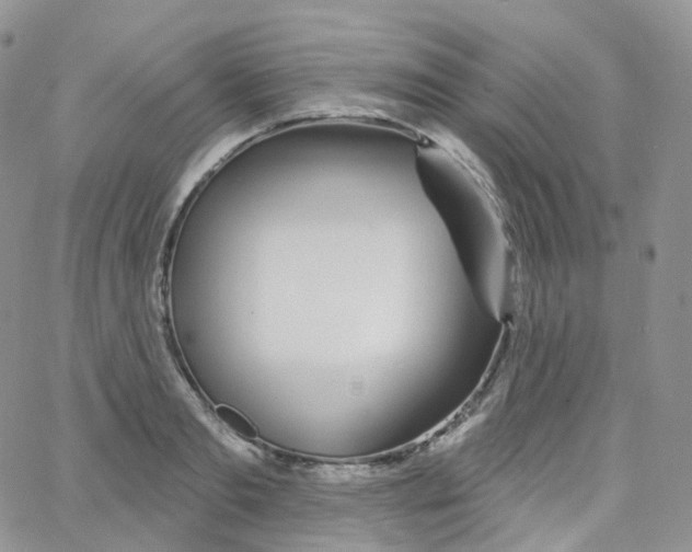 X0000065260893200603131159