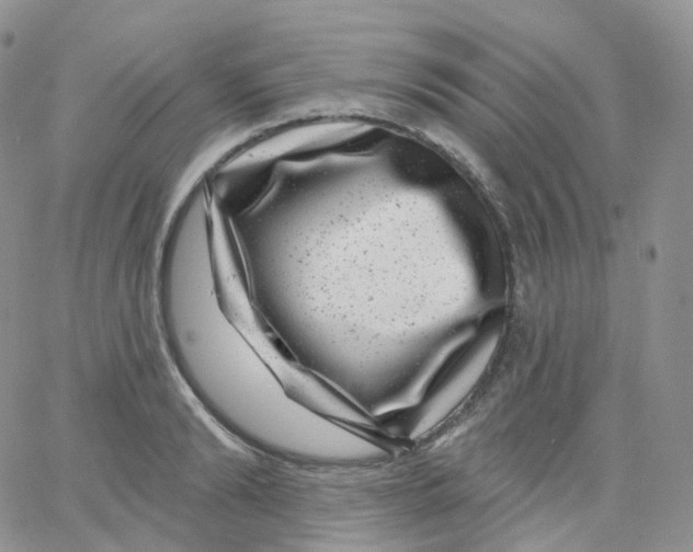 X0000065260894200603131159