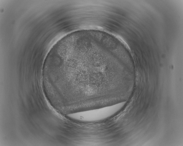 X0000065260895200603131159