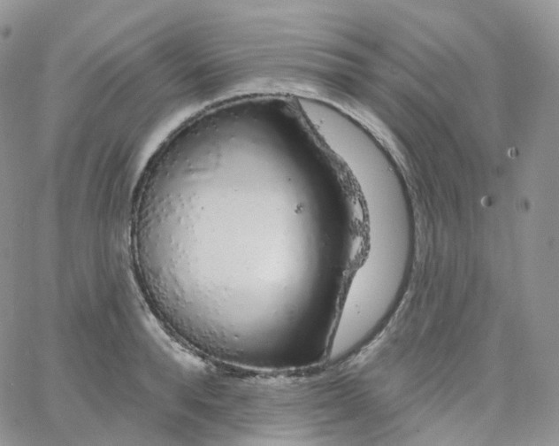 X0000065260896200603131159