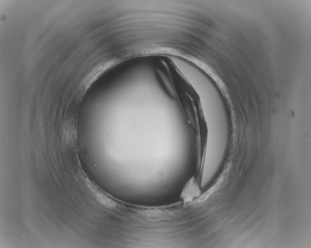 X0000065260897200603131159