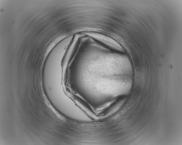 X0000065260898200603131159