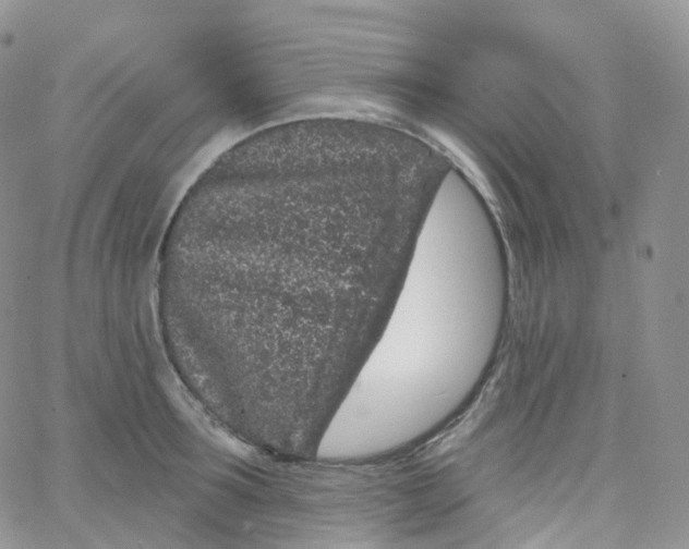 X0000065260899200603131159