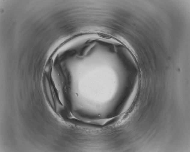 X0000065260901200603131159