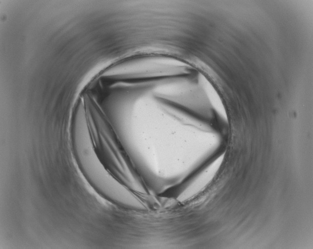 X0000065260902200603131159