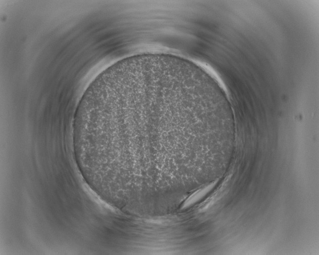 X0000065260903200603131159