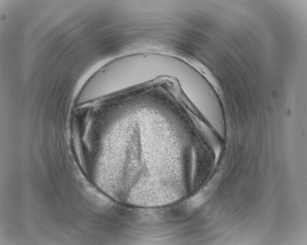 X0000065260904200603131159