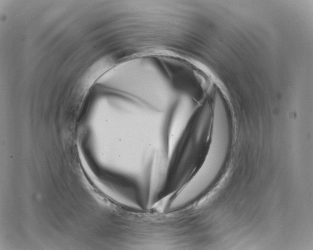 X0000065260905200603131159