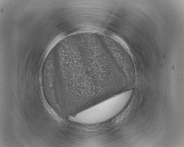 X0000065260907200603131159