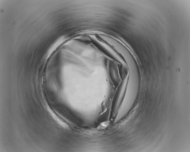 X0000065260909200603131159