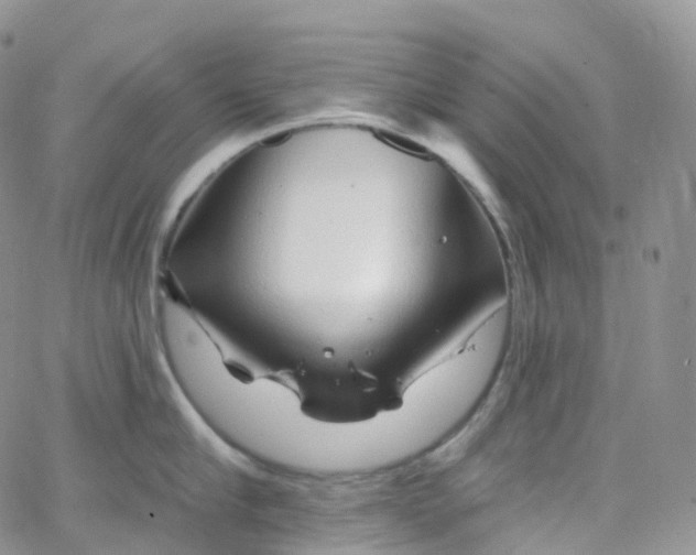 X0000065260910200603131159