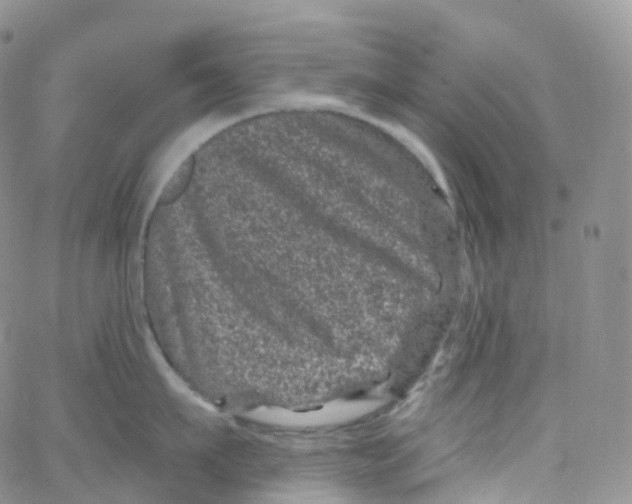 X0000065260911200603131159