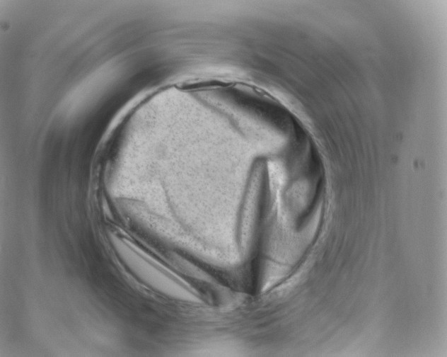 X0000065260912200603131159