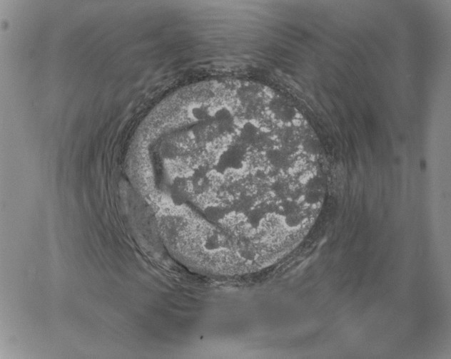 X0000065260913200603131158