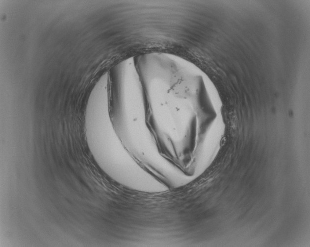 X0000065260916200603131158